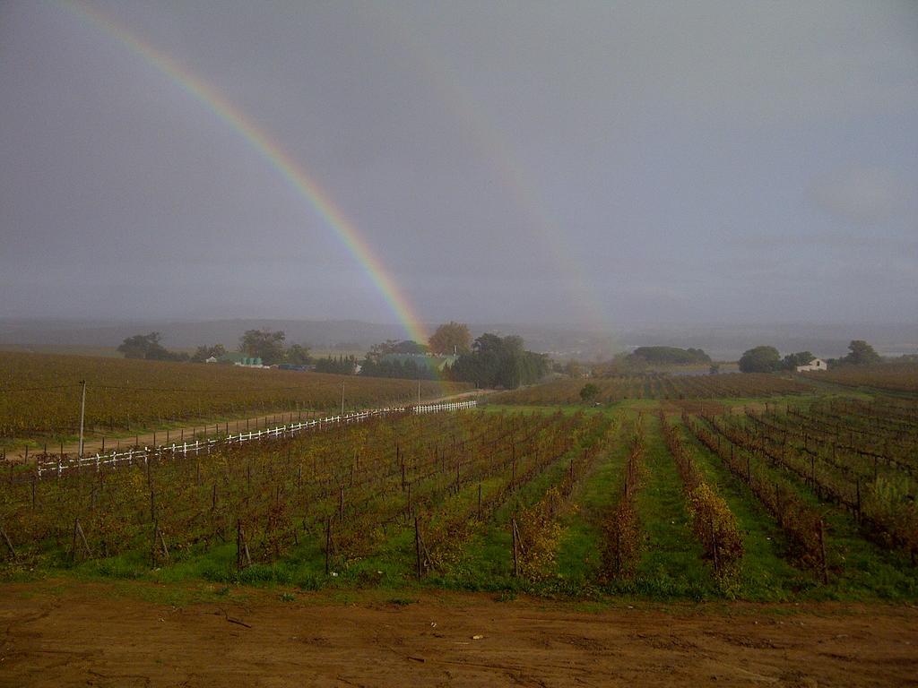 Dieu Donne Stellenbosch Exteriér fotografie