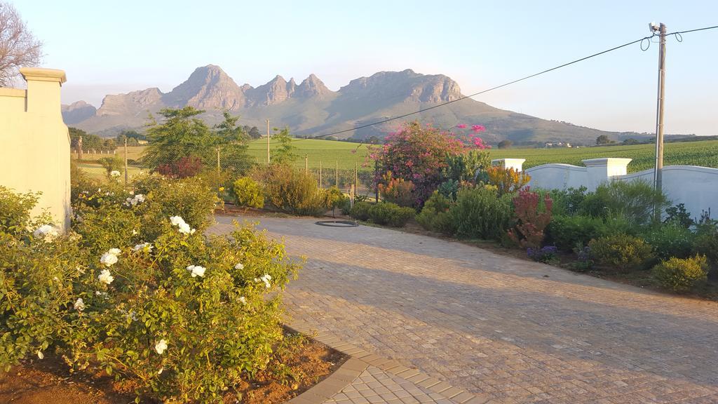 Dieu Donne Stellenbosch Exteriér fotografie