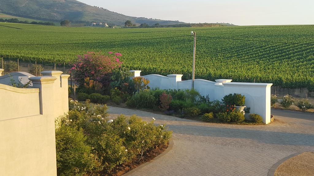 Dieu Donne Stellenbosch Exteriér fotografie