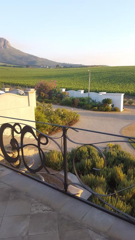 Dieu Donne Stellenbosch Exteriér fotografie