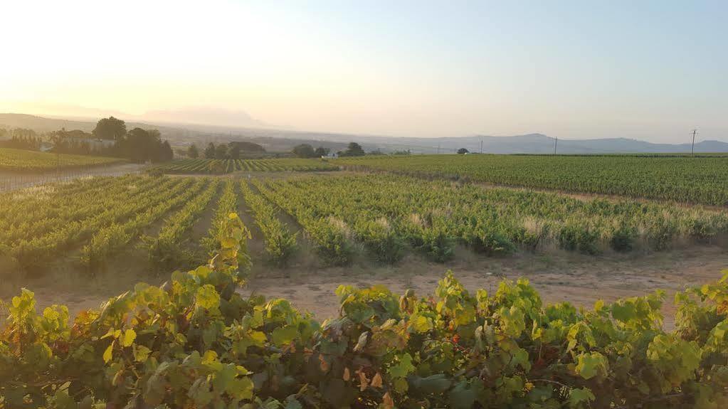 Dieu Donne Stellenbosch Exteriér fotografie